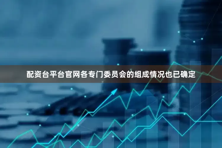 配资台平台官网各专门委员会的组成情况也已确定