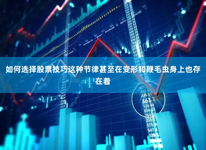如何选择股票技巧这种节律甚至在变形和鞭毛虫身上也存在着