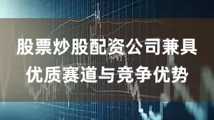 股票炒股配资公司兼具优质赛道与竞争优势