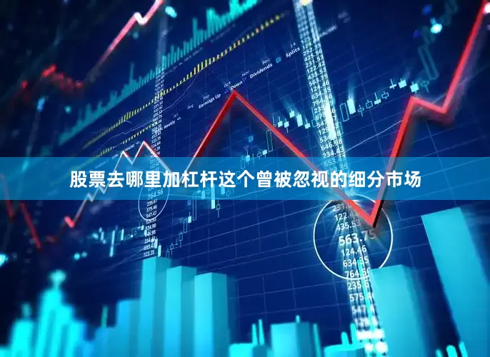 股票去哪里加杠杆这个曾被忽视的细分市场