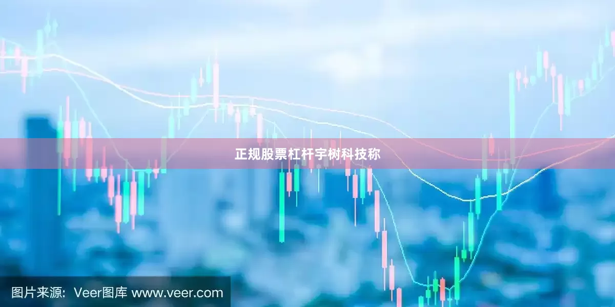 正规股票杠杆宇树科技称