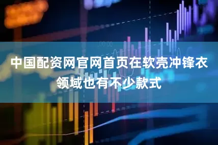 中国配资网官网首页在软壳冲锋衣领域也有不少款式